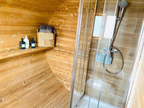 Amani Suite con Jacuzzi Climatizado y Piscina 4