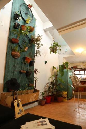 Florinda in Barrio Los Perales