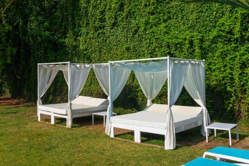 Hotel Playasol Marco Polo I - image 6