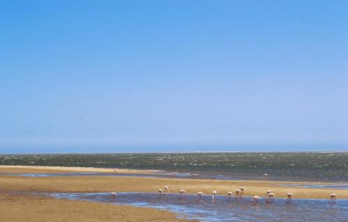 Seadrive, Walvis Bay (fotografie 4)