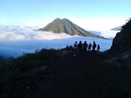 Javalindra Homestay and Banyuwangi Tour photo