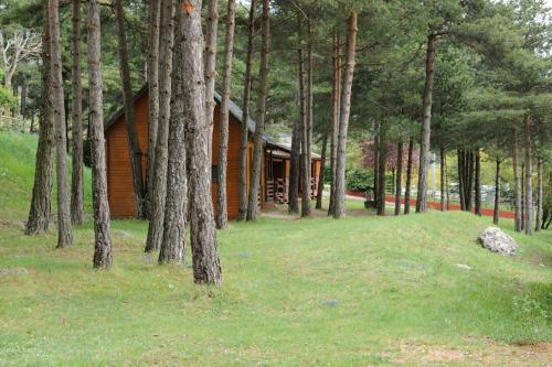 Camping Fontfreda - image 12