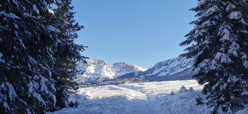 Trilocale mansardato nel cuore della Val Di Fiemme