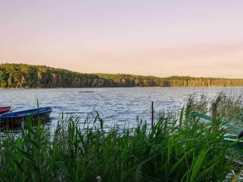 المنطقة المحيطة, Landhaus Gothensee - Südterrasse, WLAN, Kamin, Sauna (Landhaus Gothensee - Sudterrasse, WLAN, Kamin, Sauna) in كورسواندت