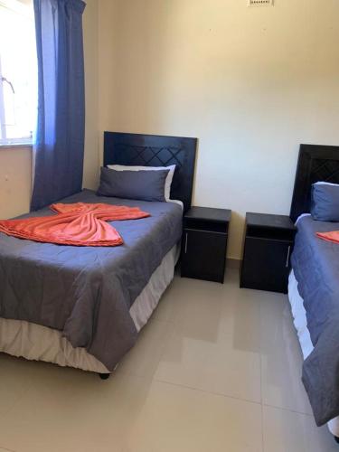 Tanzanite Guesthouse in Dundee