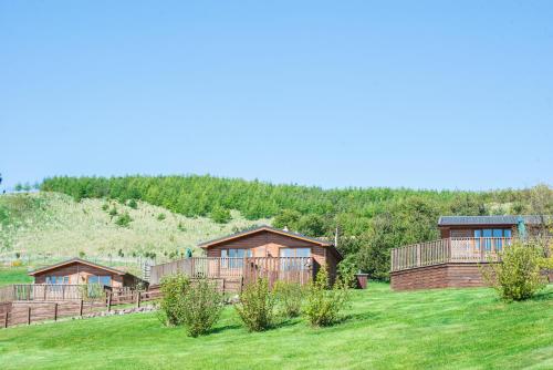 Kingfisher Lodge with Hot Tub - Chalet - Cupar