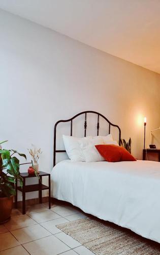 Charming City Studio In The Heart Of Ghent