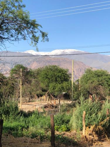 Tampu, the Container House, Cafayate (zdjęcie 8)