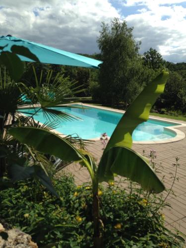 maison de campagne avec piscine in Figeac