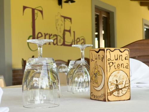 Foto - Agriturismo Terra Di Elea azienda agricola di Raimondo MIchela