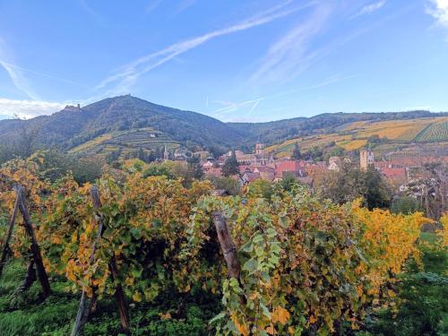 Un balcon sur les toits