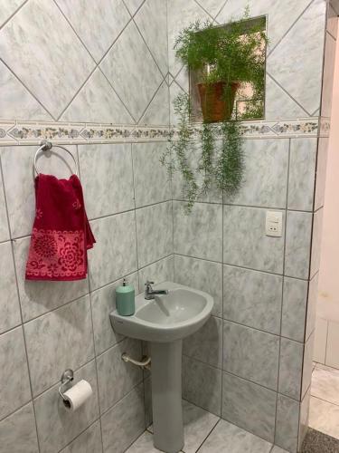 Apartamento aconchegante próx ao Centro - 1 quarto