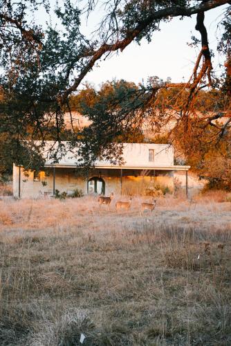 Contigo Ranch Fredericksburg