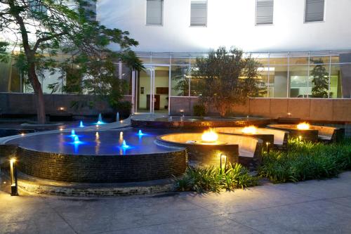 Garden, Ejecutivo Express Guadalajara Providencia - Av Mexico in Guadalajara Suburbs