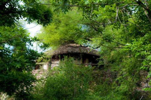 43599364 Nirvana Restaurant & Retreat