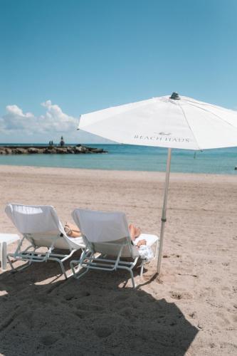 Beach Haus Bal Harbour - image 11