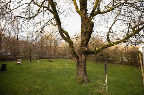 Gemütliches Haus mit Holzofen & Garten