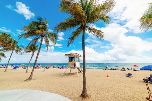 CocoBay 2BR Condos Near Beach, Galleria Mall, Wilton Manors, Cruise Port - 주변 환경