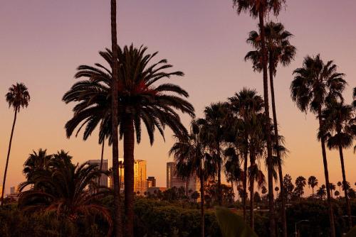 436061641 The Beverly Hills Hotel - Dorchester Collection