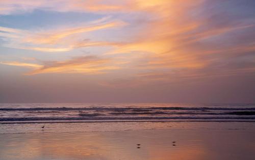 Best Western New Smyrna Beach Hotel & Suites - image 2