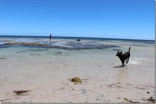 Beachside Holiday Park