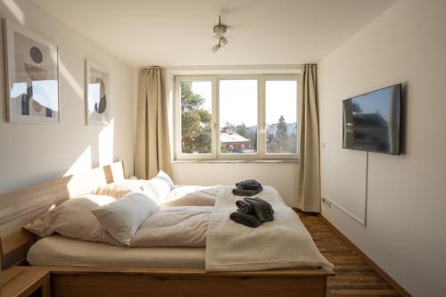 Hochwertiges Apartment / 120m² / Dachterrasse / Parking, Drážďany (fotografie 2)