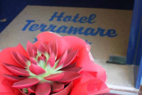 Photo - Hotel Terramare