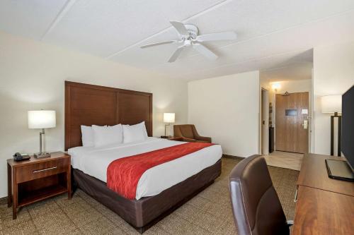 Standard King Room - Non-Smoking  room in Comfort Inn Kissimmee-Lake Buena Vista South