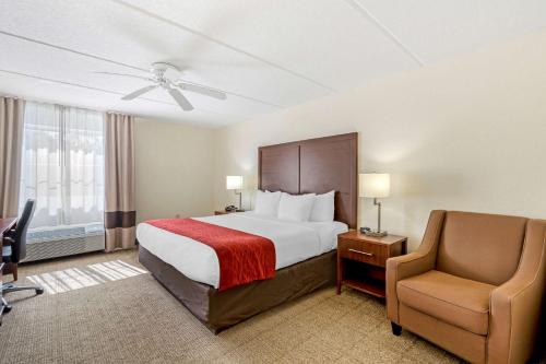 Standard King Room - Non-Smoking  image 3