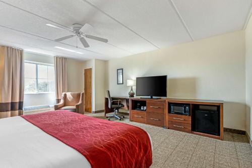 King Room with Sofa Bed - Non-Smoking image 2