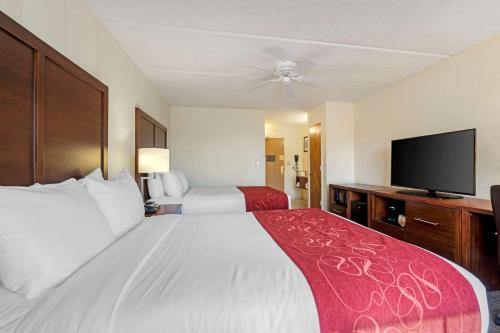 Queen Room with Two Queen Beds - Non-Smoking image 2