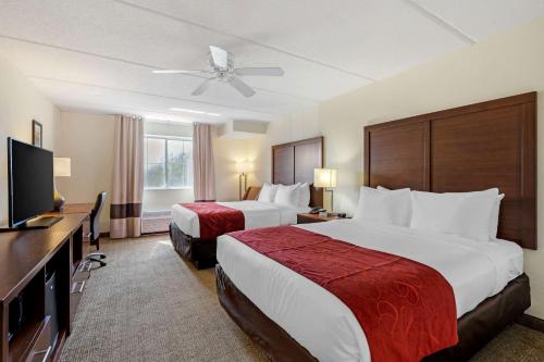 Queen Room with Two Queen Beds - Non-Smoking room in Comfort Inn Kissimmee-Lake Buena Vista South
