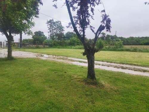 Cabanon en bord d'estuaire calme en pleine nature