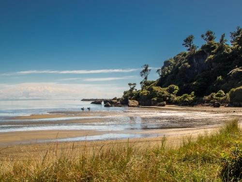 Kereru Cottage - Pohara Holiday Home