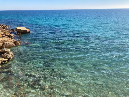 Casa Afonso Henriques