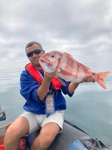 Casa Afonso Henriques