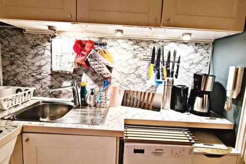 Smart Studio near Vigeland park 4