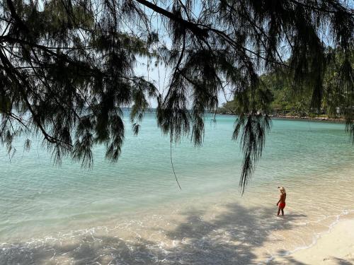 Green Papaya Beach Resort, Koh Phangan – Ko Pha Ngan, UT