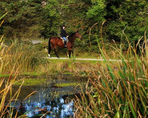 BrookLodge & Macreddin Village