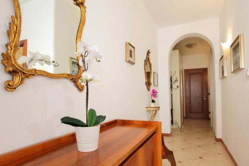 One-Bedroom Apartment image 4