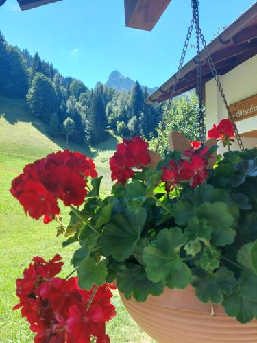 Bergmomente Montafon Ferienhaus Bitschweil