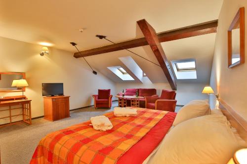 436413033 LH Hotel Dvořák Tábor Congress & Wellness