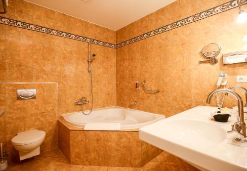 436413109 LH Hotel Dvořák Tábor Congress & Wellness