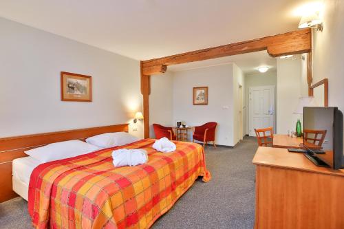 436413689 LH Hotel Dvořák Tábor Congress & Wellness