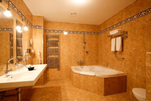 436415151 LH Hotel Dvořák Tábor Congress & Wellness