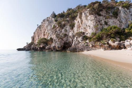 Royal Suite Apartment