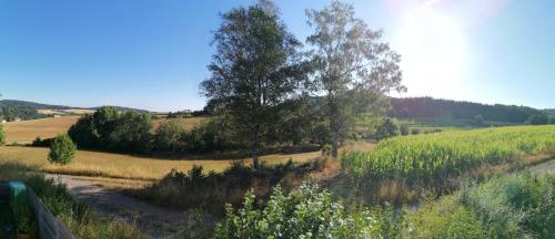 Surrounding environment, Ferienwohnung mit Charme in Bad Salzschlirf