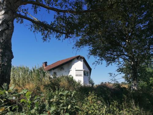 Ferienwohnung mit Charme