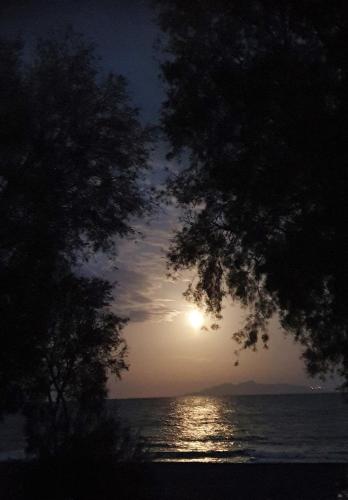 アリオン ベイ ホテル