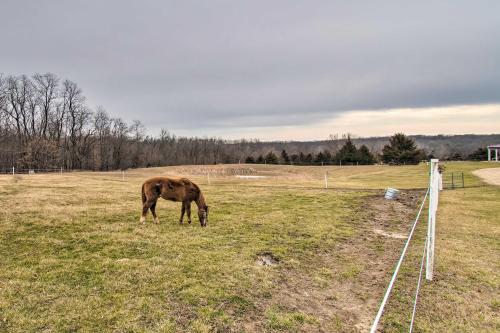 Updated Missouri Cabin Rental on Large Farm